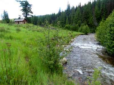 Camp Growden Heritage Site Sherman Creek downriver June 2020 by Sharleen Puckett