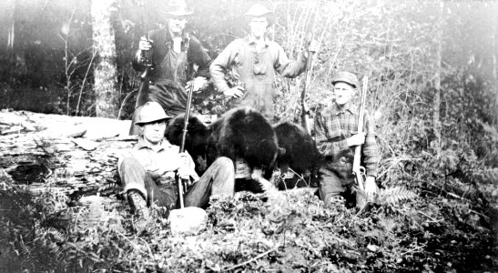 Willamette NF - 4 Ranger with 3 Bears, OR c1935 photo