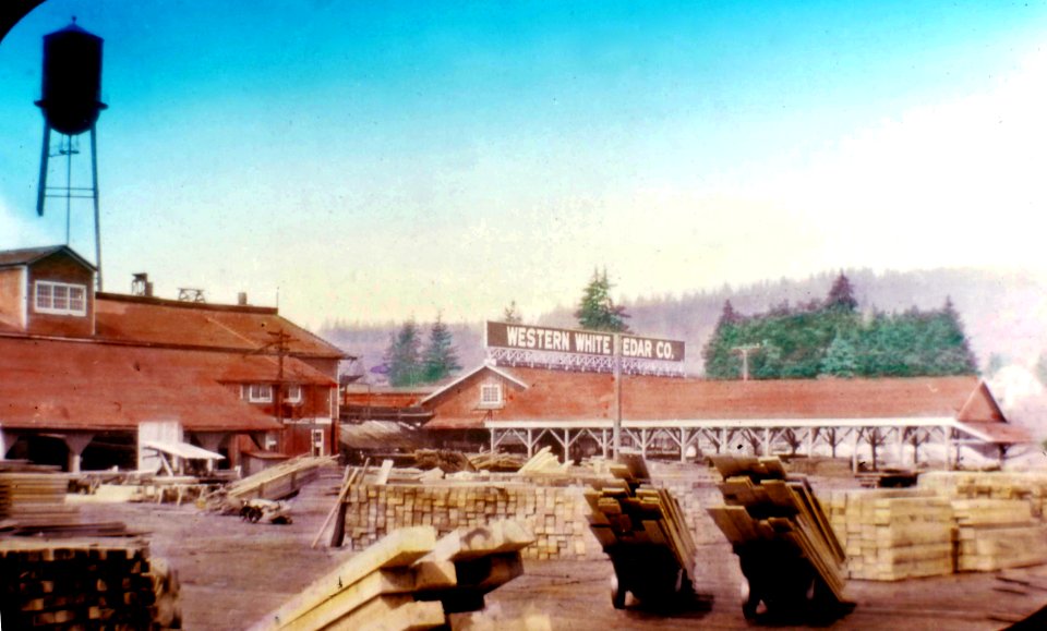 246644 Port Orford Cedar Mill near Marshfield