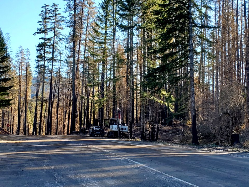 Forest Road 46 at Ripplebrook Store, Mt. Hood National Forest