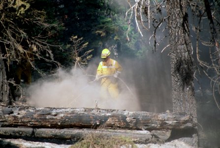 162 Ochoco National Forest Hash Rock Fire