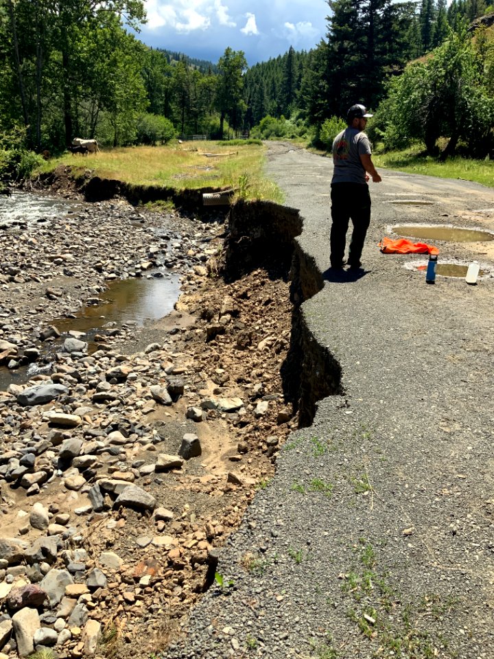Forest Service Road 54 (Pearson Creek)