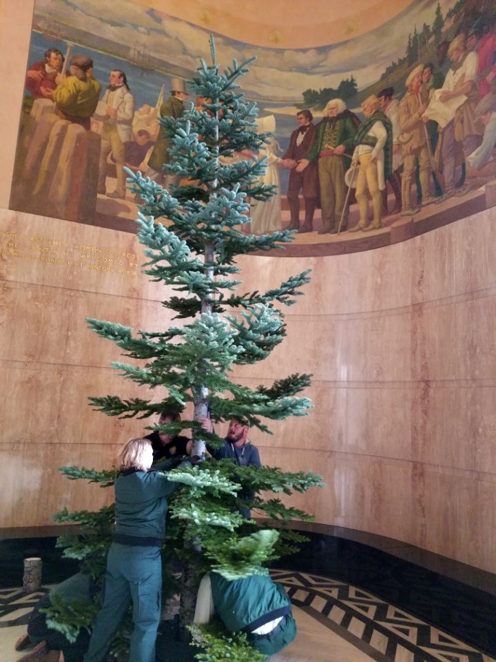 Forest Service bringing the sister tree from the Willamette NF
