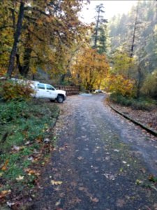 20191023 CRGNSA Bridges staged at Eagle Creek Trailhead w Forklift and other materials. (USDA Forest Service photo by Edan Lira)