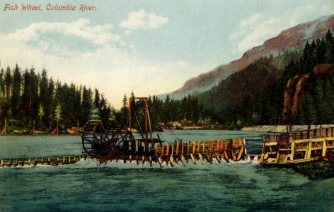 Fish Wheel on Columbia River (2)