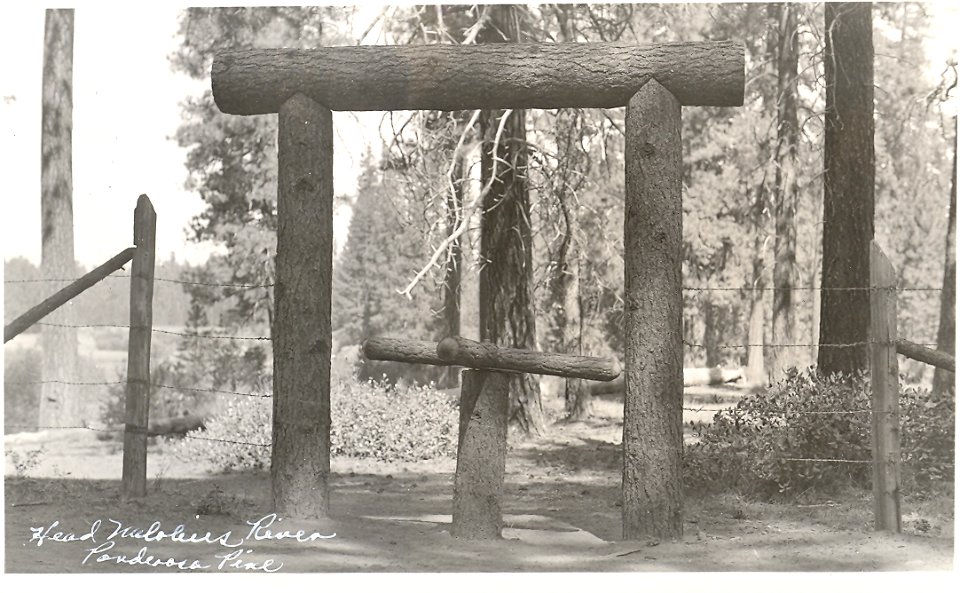 Headwaters of the Metolius River, turnstile made of ponderosa pine, c1930