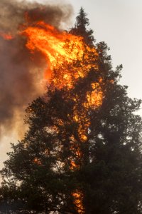 20180820 FS Okanogan KG 0686