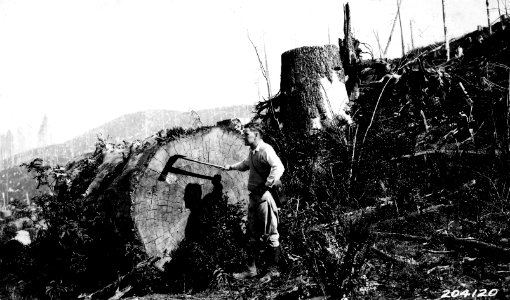 204120 Douglas C. Ingram, Siuslaw NF, OR 1925