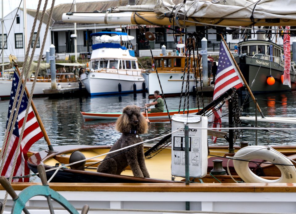 Port Townsend Wooden Boat Festival
