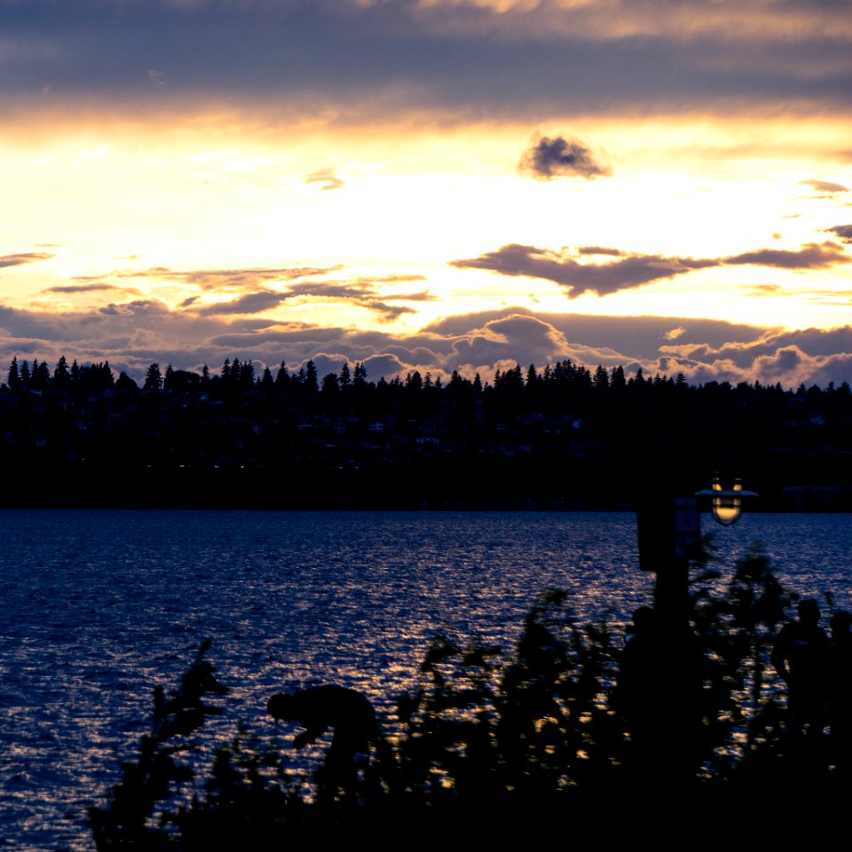 Kirkland Marina
