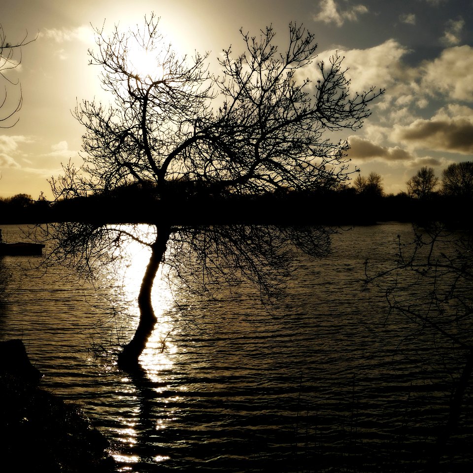 Bords de Loire 03-03-2018 18-29-42