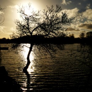 Bords de Loire 03-03-2018 18-29-42