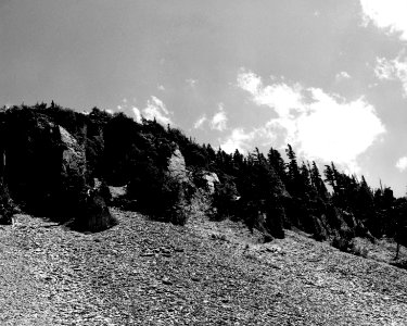 Willamette NF - Above Sister Spring, Obsidian Flat in TSW, OR 1979 photo