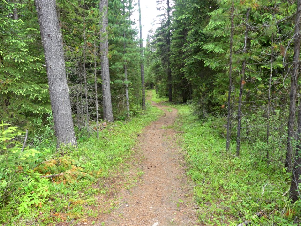 Colville NF Frater Lake June 2020 by Sharleen Puckett 15