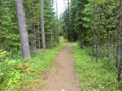 Colville NF Frater Lake June 2020 by Sharleen Puckett 15