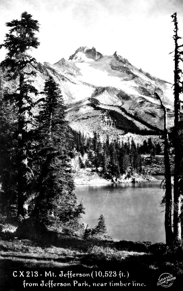 CX213 Mt Jefferson (10,532 ft.) from Jefferson Park