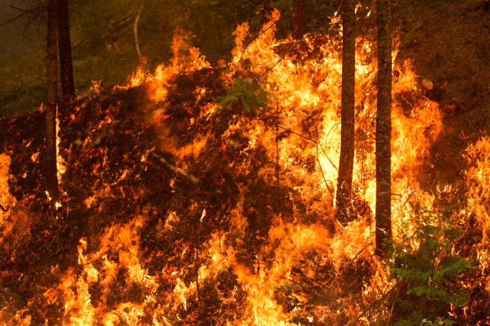 Umpqua National Forest Fires, 2017