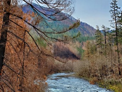 Clackamas River after Riverside Fire, Mt. Hood National Forest photo