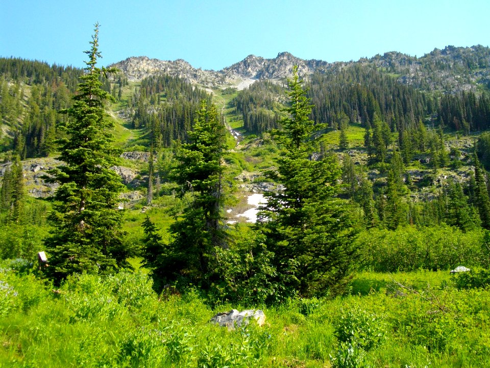 Entiat River Trail GlacierPkWilderness EntiatRD 2012-07-04 byPatrickHerman