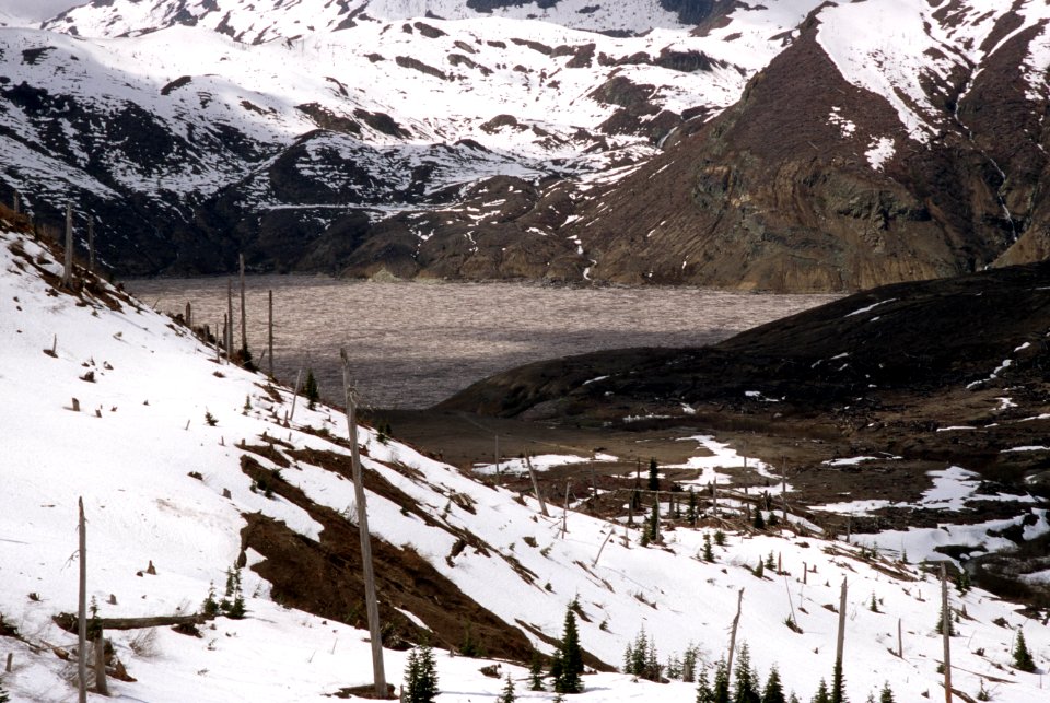 Gifford Pinchot National Forest, Mt St Helens NVM, blast zone, Spirit Lake.jpg