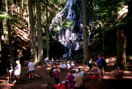 Hikers at Ramona Falls Mt Hood National Forest.jpg photo