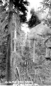 No. 60 Ninety Foot Bridge Spur No 3 Clatsop Ore.