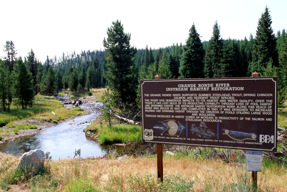 Umatilla Nat'l Forest, Grande Ronde River, stream habitat restoration.jpg