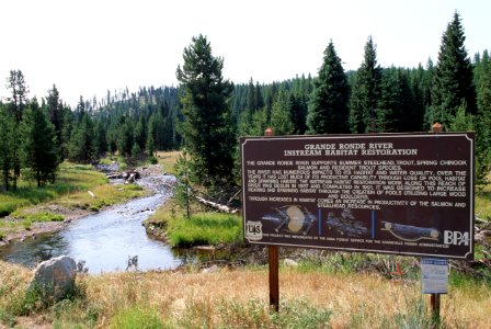 Umatilla Nat'l Forest, Grande Ronde River, stream habitat restoration.jpg