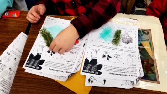 2018-Dec-Gess-Colville-EKIP-leaf-rubbing