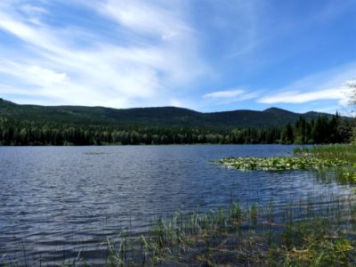 Colville NF Big Meadow Lake Trail lakeview June 2020 by Sharleen Puckett