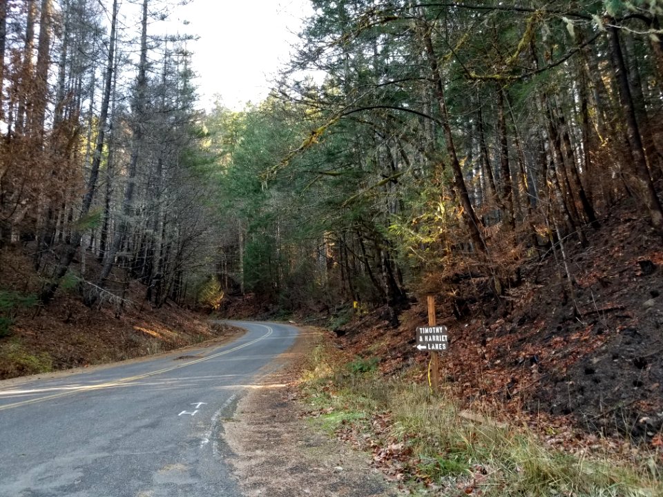 Forest Roads 46 and 57 junction after Riverside Fire, Mt. Hood National Forest