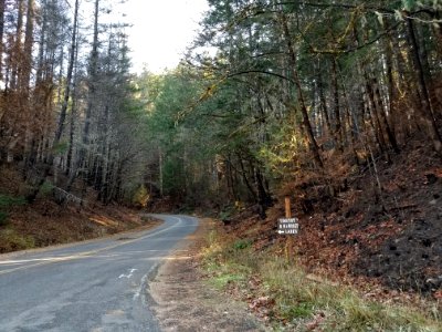 Forest Roads 46 and 57 junction after Riverside Fire, Mt. Hood National Forest photo