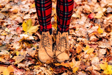 Fall lace up boots photo