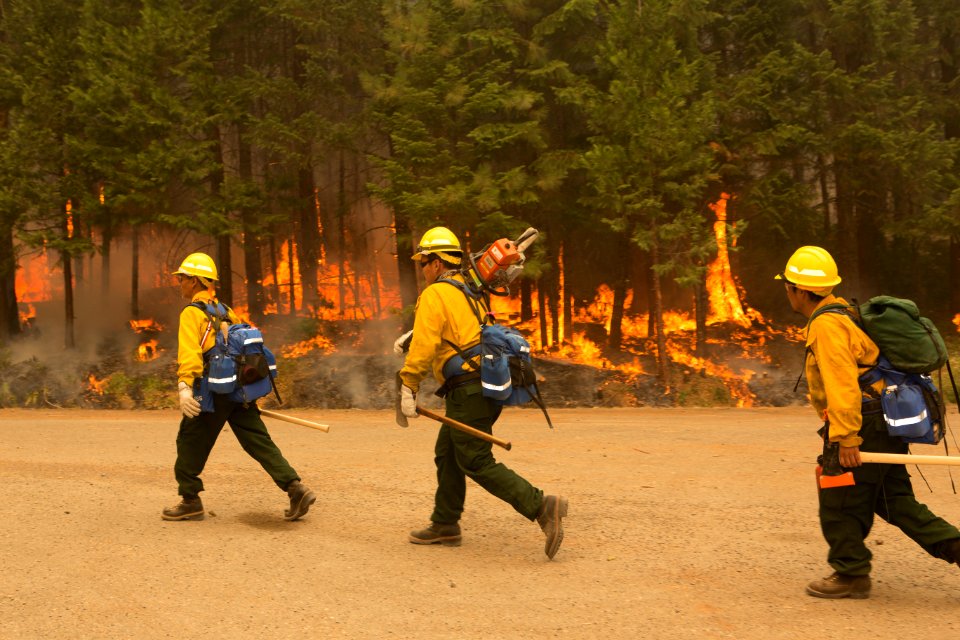 Firefighters, Umpqua National Forest Fires, 2017