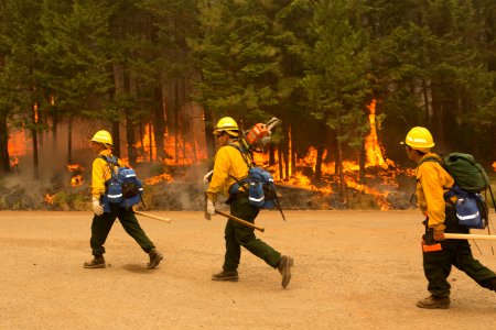 Firefighters, Umpqua National Forest Fires, 2017