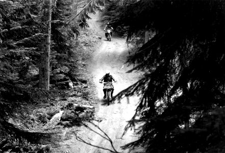 531422 Dirt Bikes, Naches Pass, Snoqualmie NF, WA 1976 photo