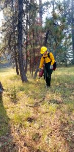 A firefighter uses a drip torch to direct the Canyon 66 Prescribed fire photo