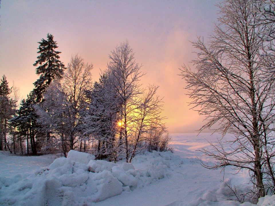 Nature snow landscape