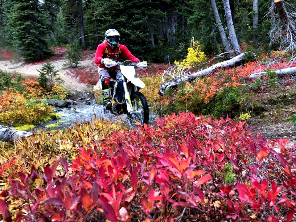Motorcycle-ridingThroughCreekWithVibrantFallColors-OkaWenNFbyMasonSchuurUSFS-Sept2018