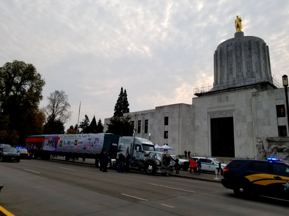 Tree in front of Oregon State Capitol