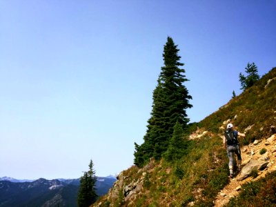 Hiker-UsingWalkingPolesOnSidehillTrail-OkaWenNFbyMasonSchuurUSFS-Aug28-2018