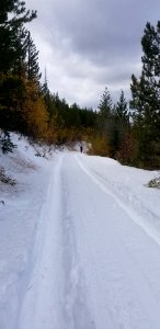 ChelanRidgeHawkWatchSnowEvent-SnowshoeingAndSkiingBackToCampAfterHelpingDigOutVisitors ChelanRD-OkaWenNFbyJanet MillardUSFS 2019-10-05