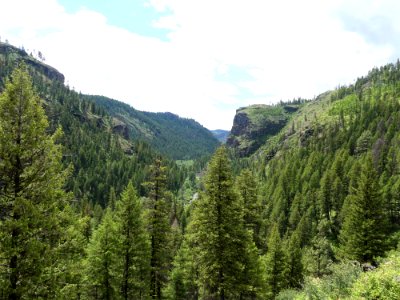 Colville NF - 10-mile trail - vista - June 2020 - Sharleen Puckett