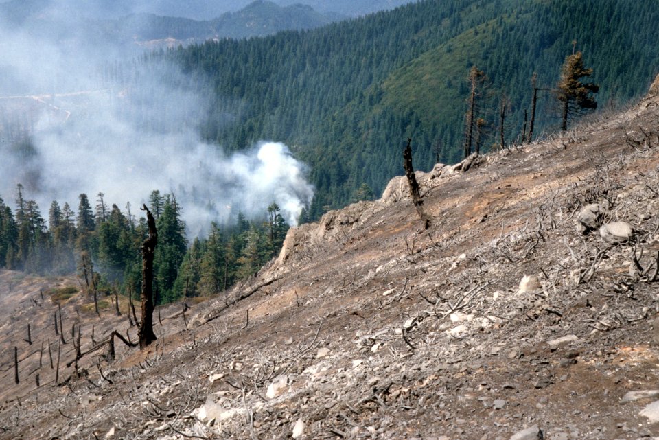 134 Rogue River-Siskiyou National Forest Biscuit Fire