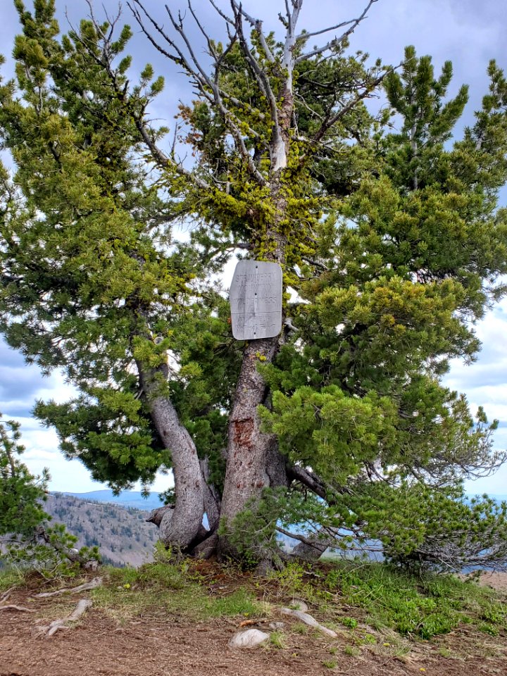 Malheur National Forest/Strawberry Mountain Wilderness