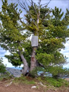 Malheur National Forest/Strawberry Mountain Wilderness