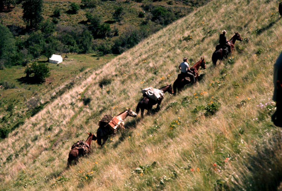 Wallowa-Whitman National Forest, Hells Canyon pack train.jpg