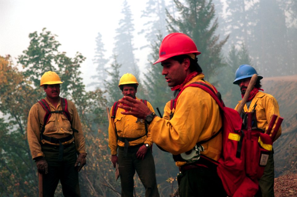 275 Shasta-Trinity National Forest, High Fire