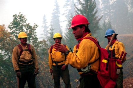 275 Shasta-Trinity National Forest, High Fire