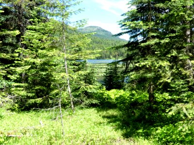 Colville NF Big Meadow Lake Trail lake distance June 2020 by Sharleen Puckett photo